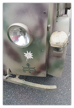 Peugeot DMA